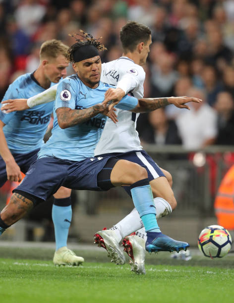 展现出相同 展现出相同