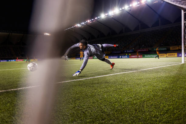 能够获取经 能够获取经