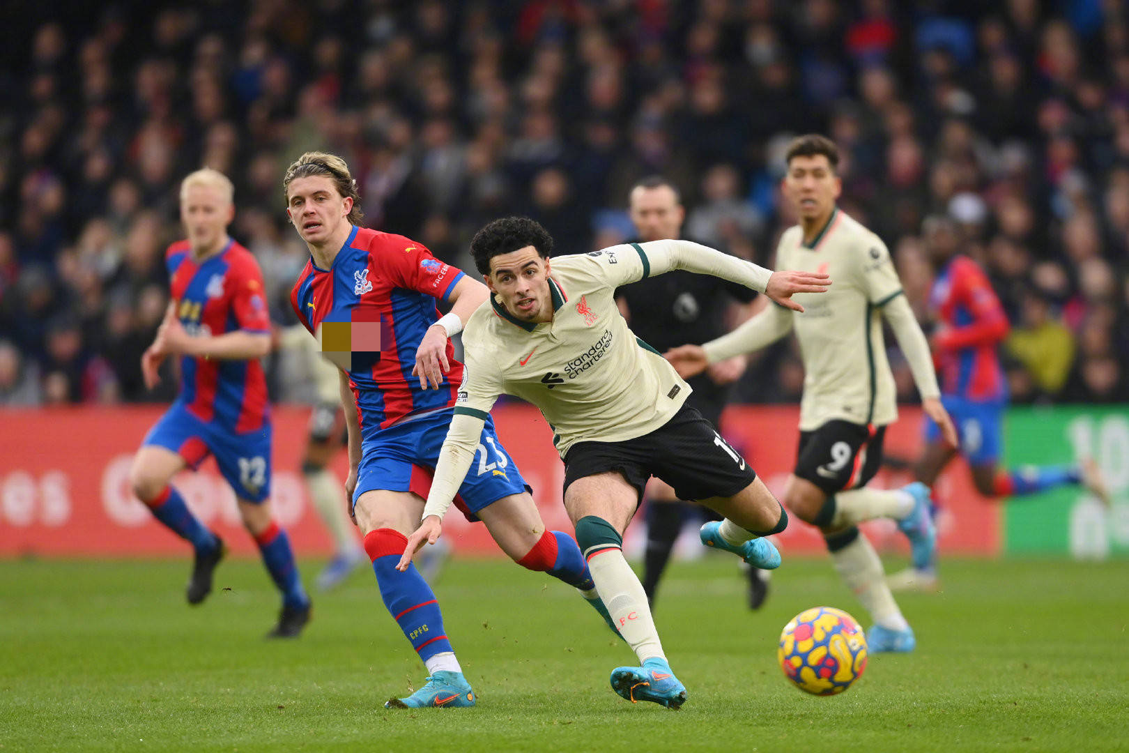 赛季的新悬 赛季的新悬